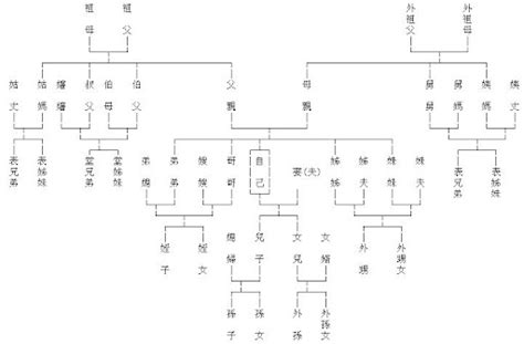 叔公是幾等親|三親等內之親屬列表